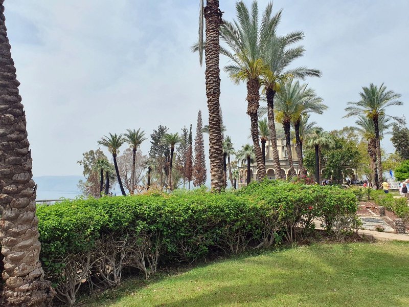 Haas Promenade