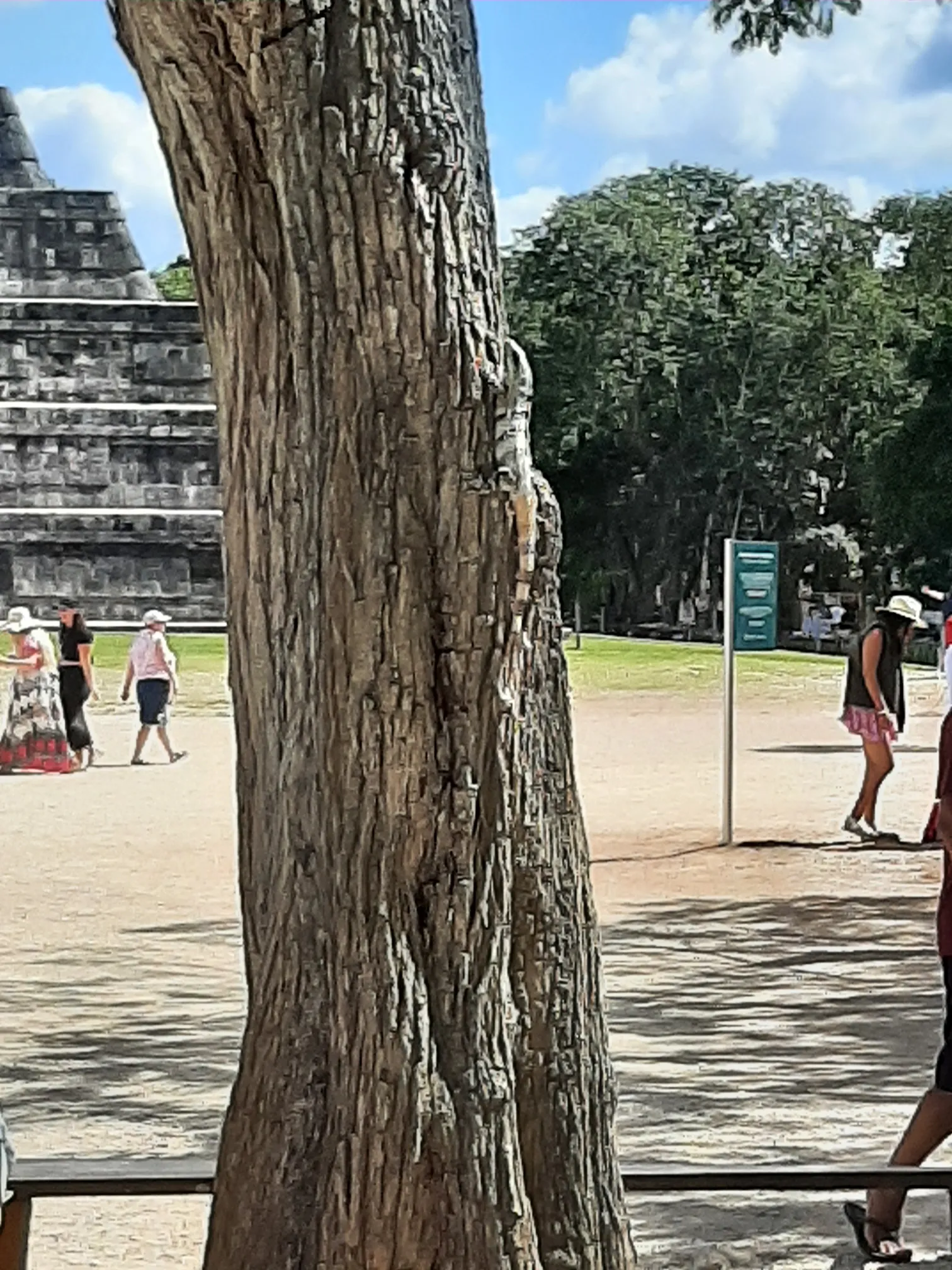 <img alt="" src="/user/pages/tecartmedia/mexiko/chichen-itza/chichen-itza/20250205_121659.webp?title" />