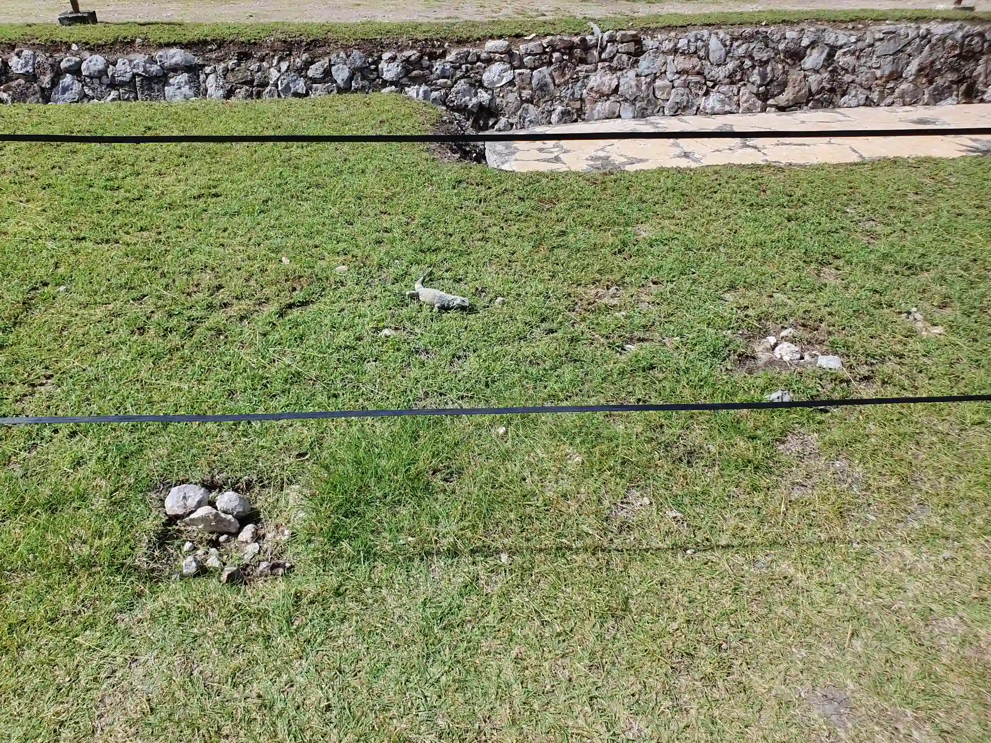 <img alt="" src="/user/pages/tecartmedia/mexiko/chichen-itza/chichen-itza/20250205_133236.webp?title" />