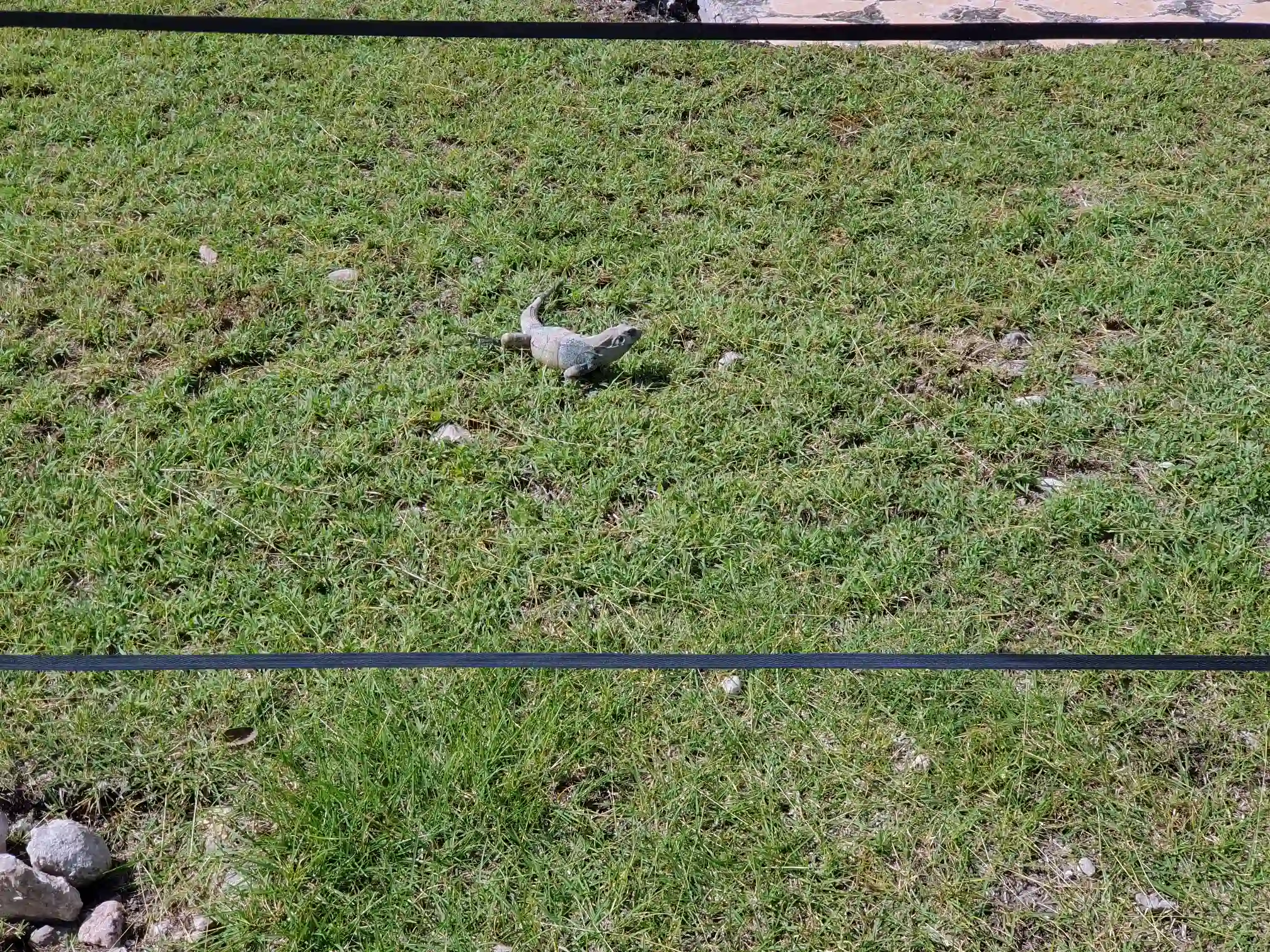 <img alt="" src="/user/pages/tecartmedia/mexiko/chichen-itza/chichen-itza/20250205_133243.webp?title" />